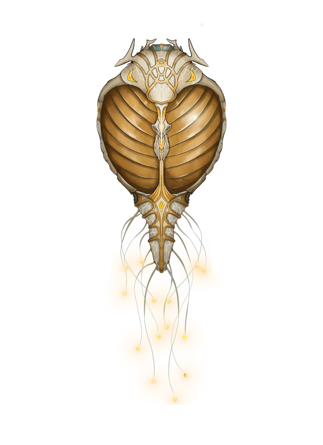 Planatus map, Original Cocoon Exterior variant